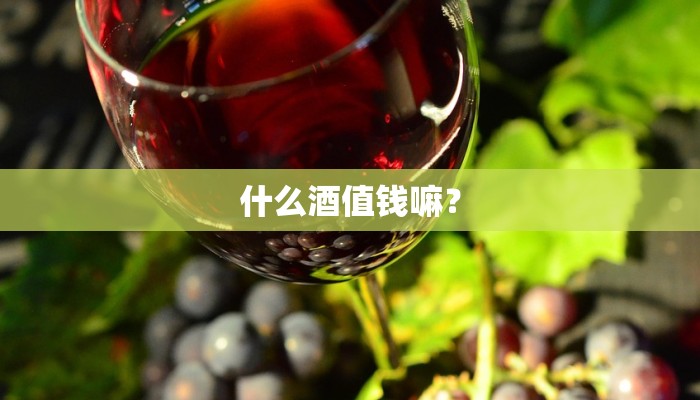 这边能收白酒酒糟吗？