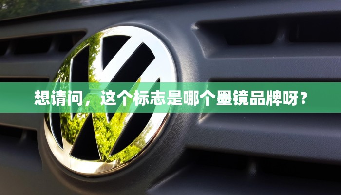 想请问，这个标志是哪个墨镜品牌呀？