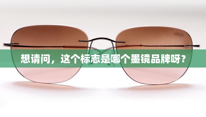 想请问，这个标志是哪个墨镜品牌呀？