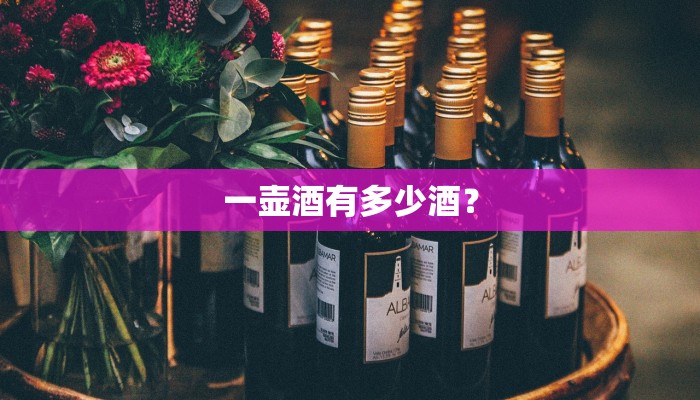 一壶酒有多少酒？