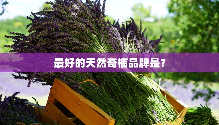 最好的天然奇楠品牌是？