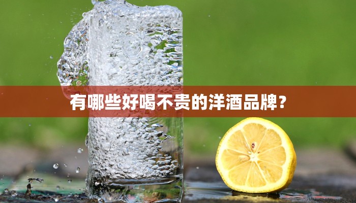 有哪些好喝不贵的洋酒品牌？