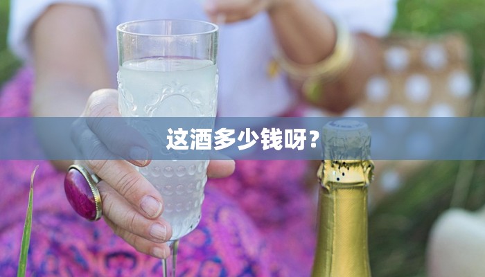 这酒多少钱呀？