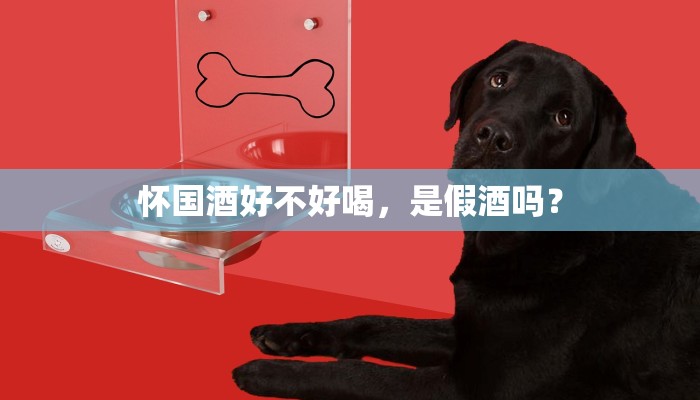 怀国酒好不好喝，是假酒吗？