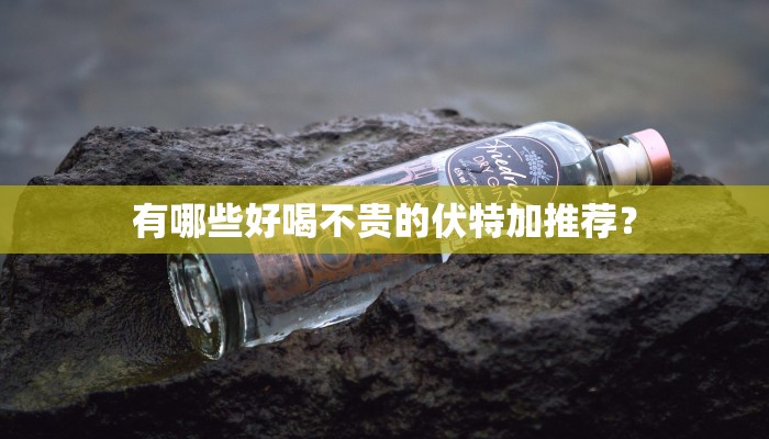 有哪些好喝不贵的伏特加推荐？