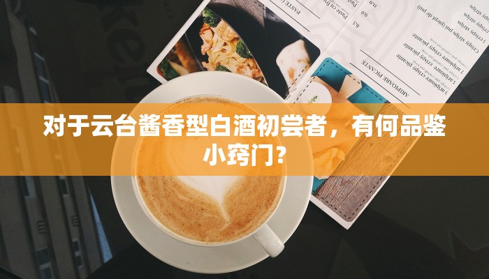 对于云台酱香型白酒初尝者，有何品鉴小窍门？