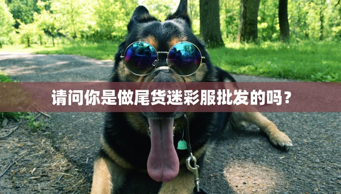请问你是做尾货迷彩服批发的吗？