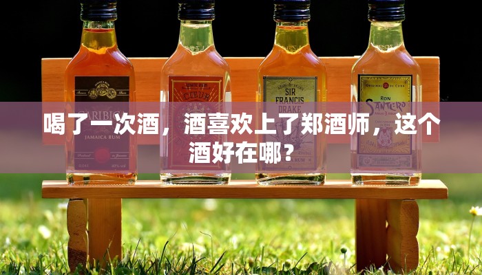 喝了一次酒，酒喜欢上了郑酒师，这个酒好在哪？