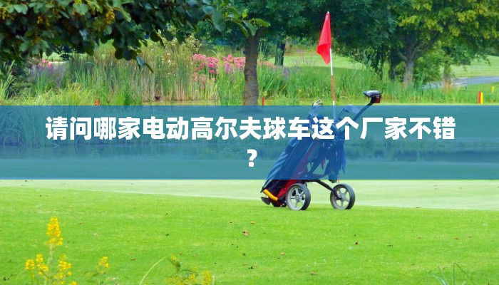 请问哪家电动高尔夫球车这个厂家不错？