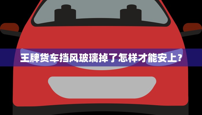 岳阳皮卡哪里买？