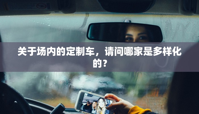 关于场内的定制车，请问哪家是多样化的？