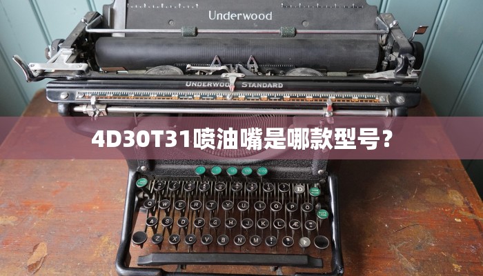 4D30T31喷油嘴是哪款型号？