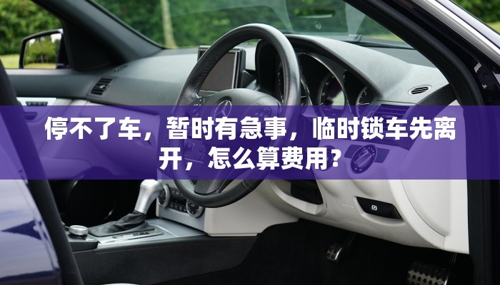 停不了车，暂时有急事，临时锁车先离开，怎么算费用？