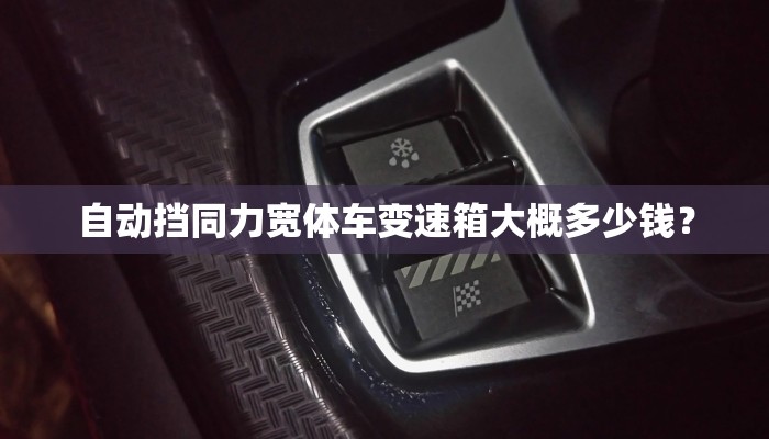 自动挡同力宽体车变速箱大概多少钱？