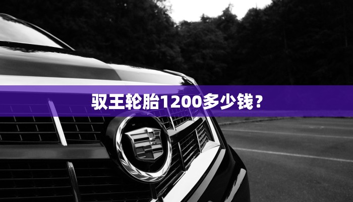 驭王轮胎1200多少钱？